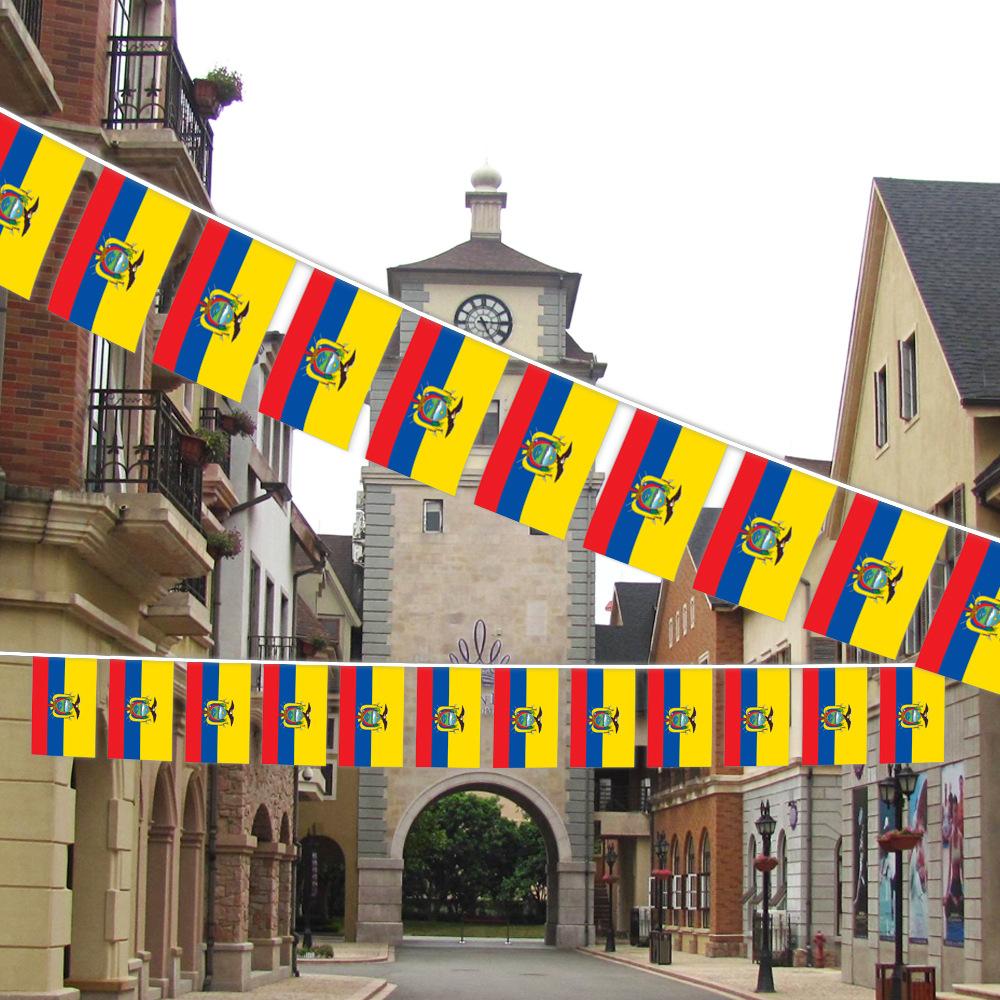 Custom String Flag Set